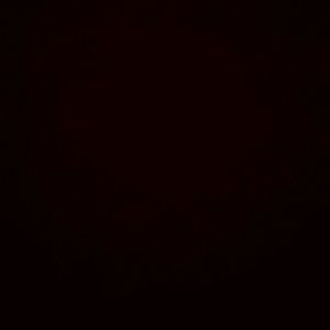 Meet your Posher, Diego